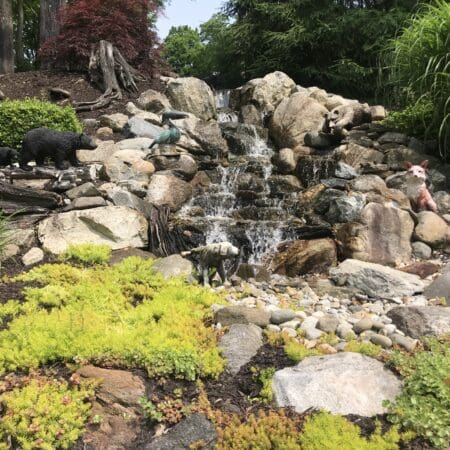 13×18 Pond - Photo 41