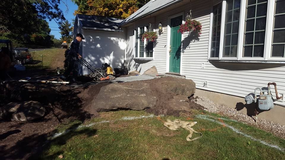 Ecosystem pond project 8