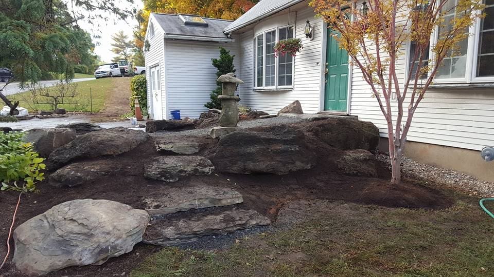 Ecosystem pond project 9