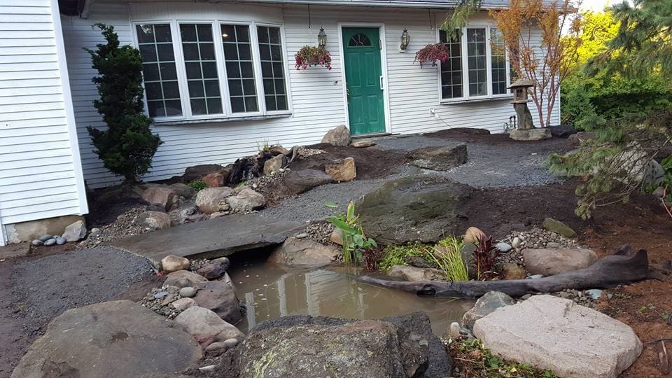Ecosystem pond project 10