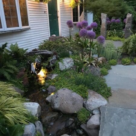 Entranceway Ecosystem Pond & Waterfall - Photo 7