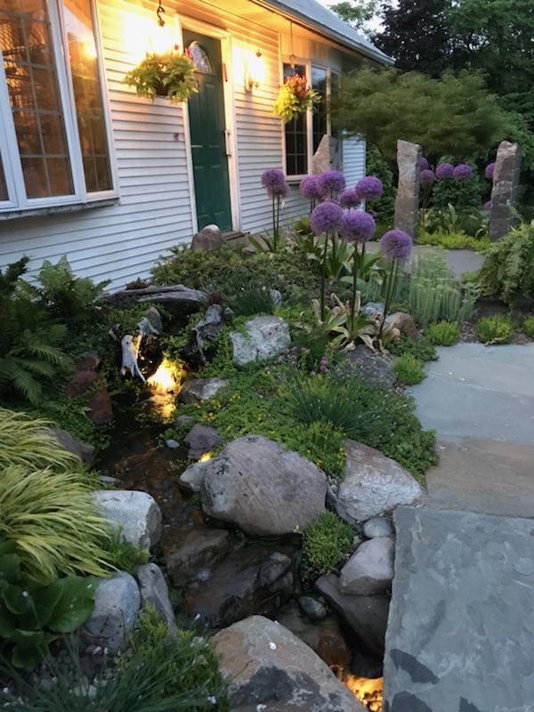 Ecosystem pond project 11