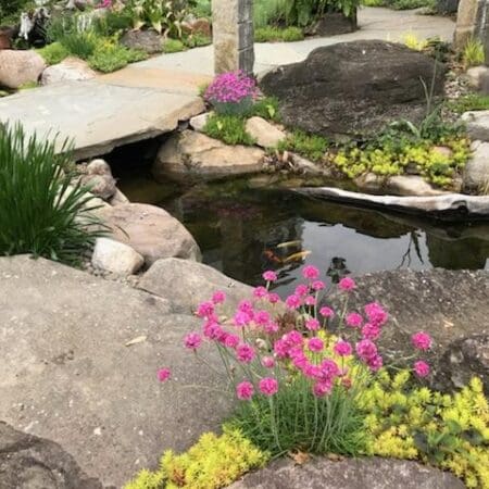 Entranceway Ecosystem Pond & Waterfall - Photo 8