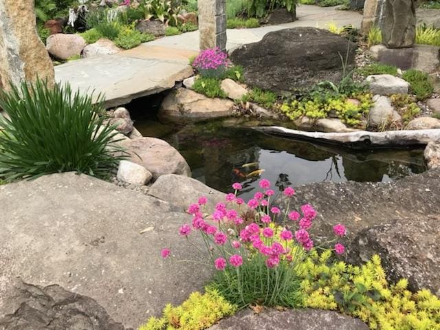 Ecosystem pond project 12