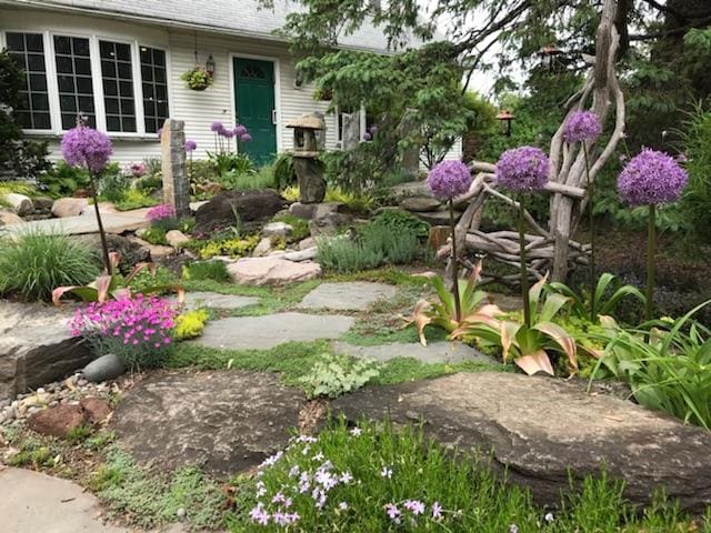 Ecosystem pond project 13