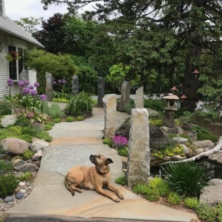 Entranceway Ecosystem Pond & Waterfall - Photo 10
