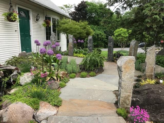 Ecosystem pond project 16
