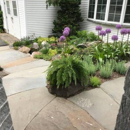 Entranceway Ecosystem Pond & Waterfall - Photo 13