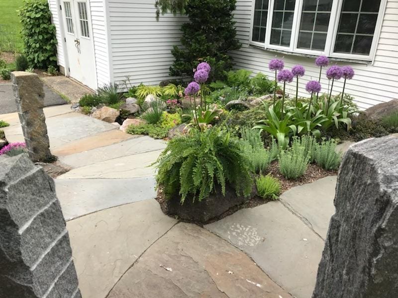 Ecosystem pond project 17