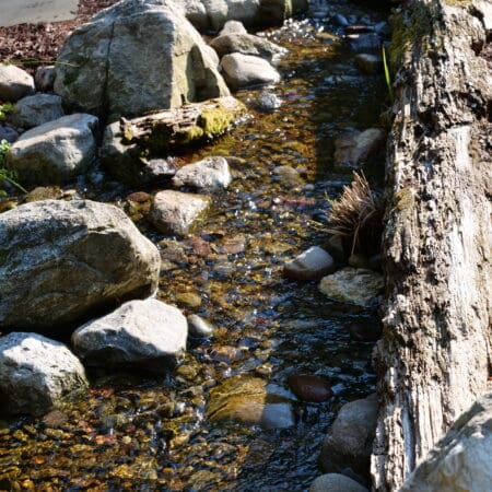 Pondless Waterfall & Fire Pit (Hawley) - Photo 6