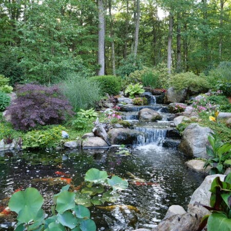 Pond & Fountainscape (Hawley) - Photo 2