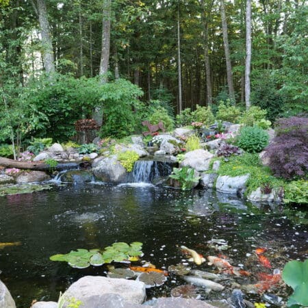 Pond & Fountainscape (Hawley) - Photo 3
