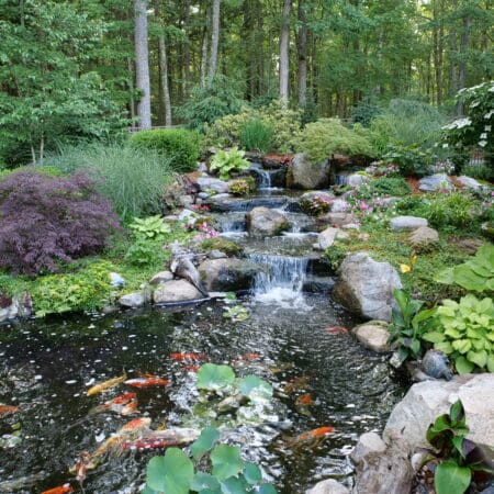 Pond & Fountainscape (Hawley) - Photo 4