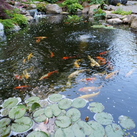 Pond & Fountainscape (Hawley) - Photo 7