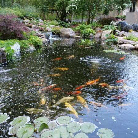 Pond & Fountainscape (Hawley) - Photo 8