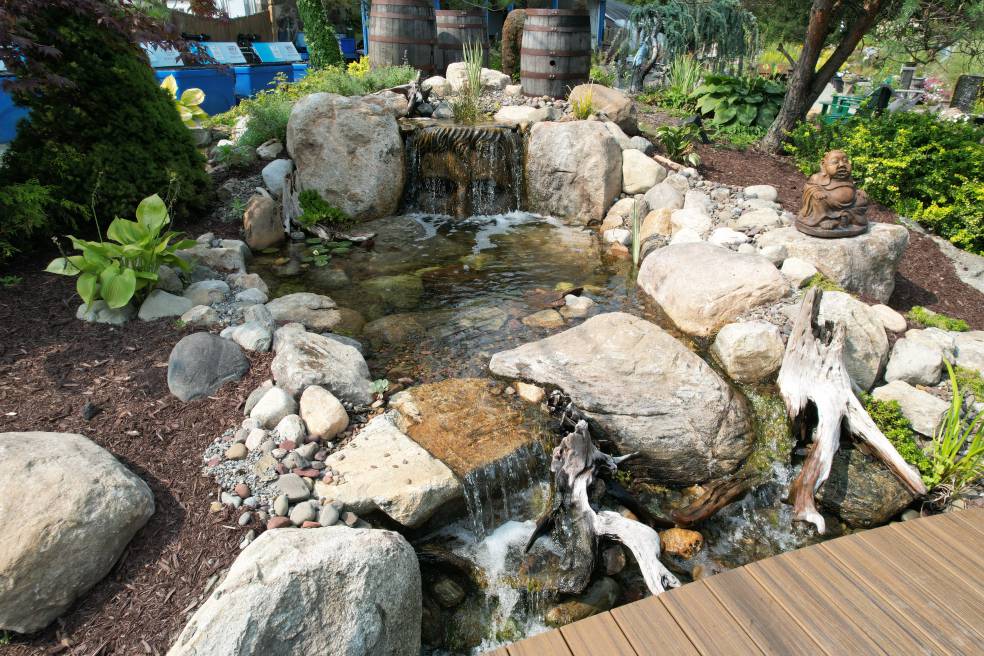 Face Pondless