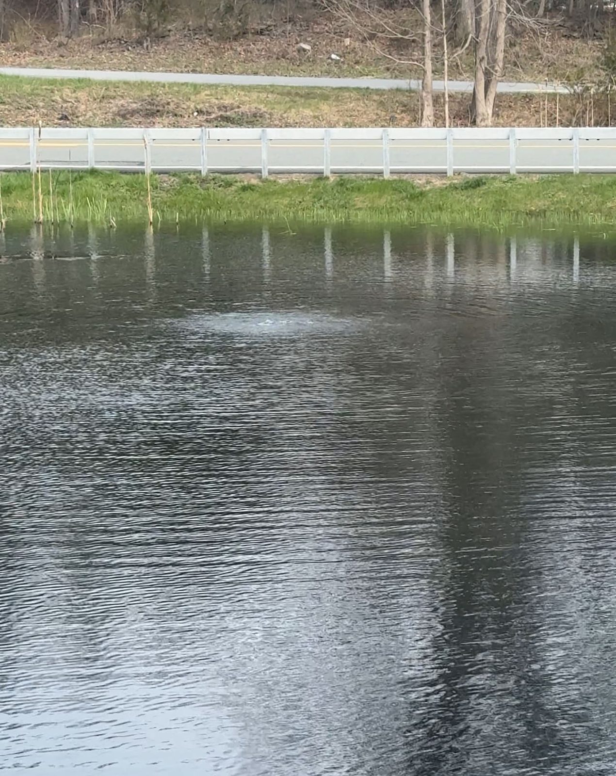 Natural Pond Aeration