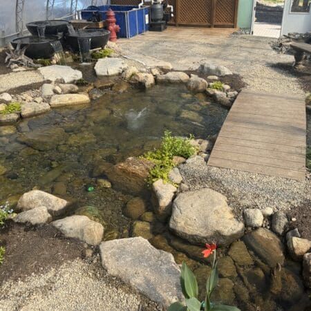 Greenhouse Pond