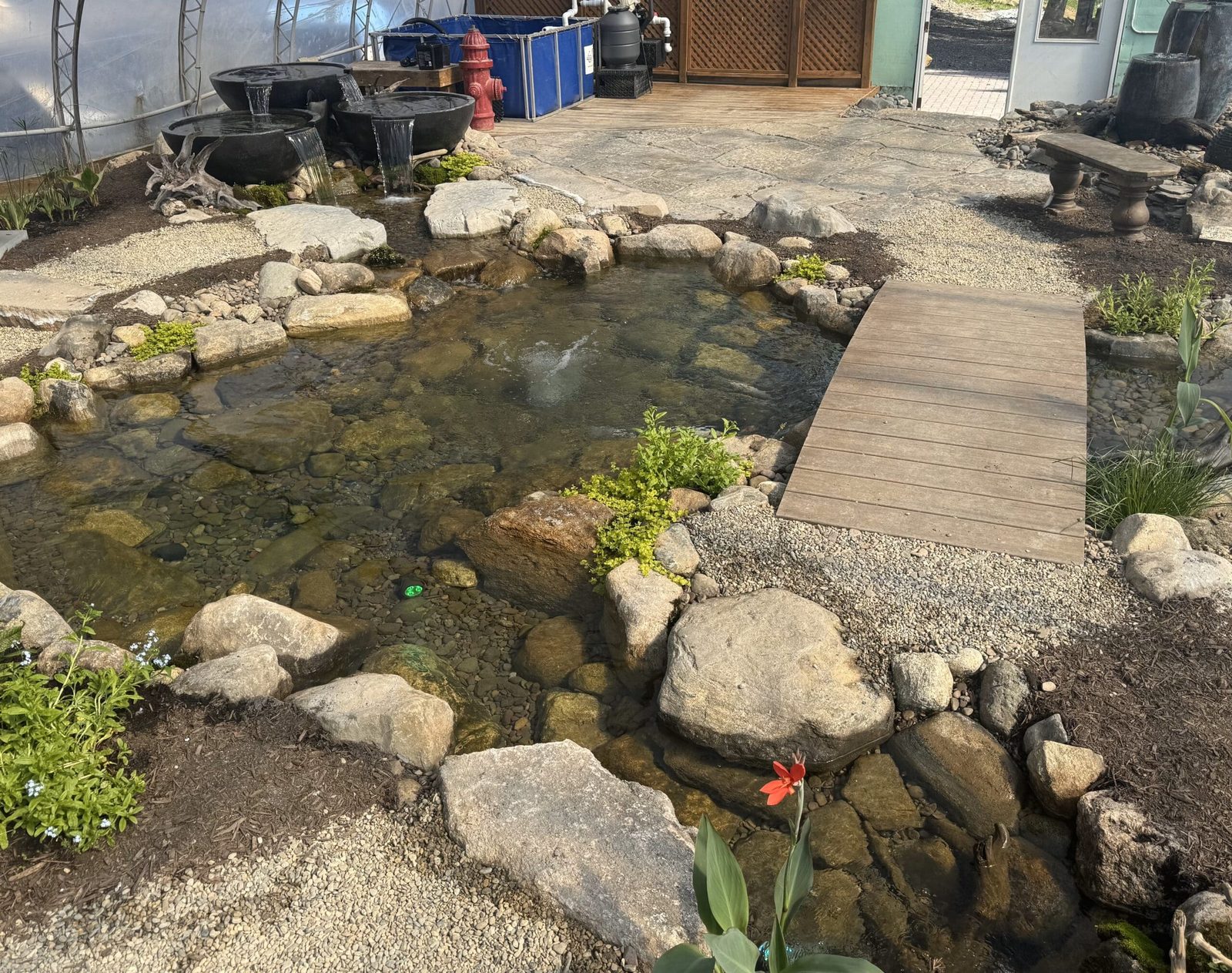 Greenhouse Pond