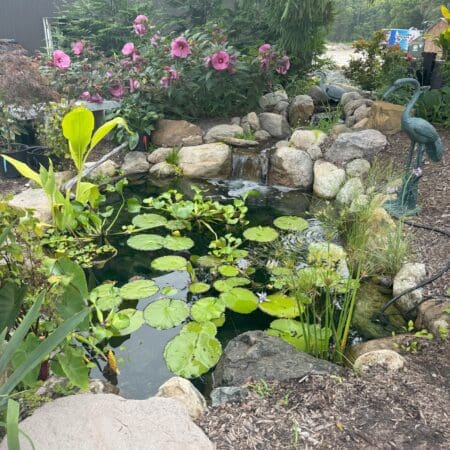 Tranquility Pond