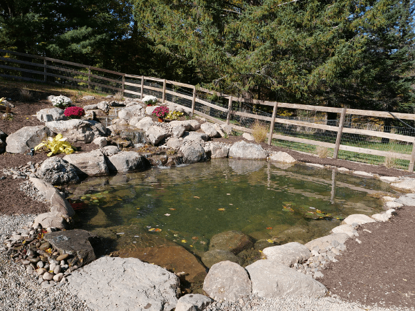 Recreational pond project 7