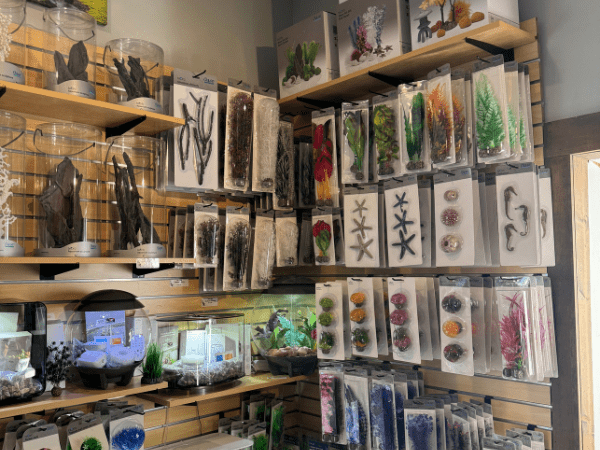 Fish Tanks and Decor