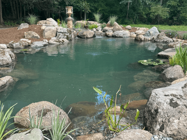 Recreational pond project 8
