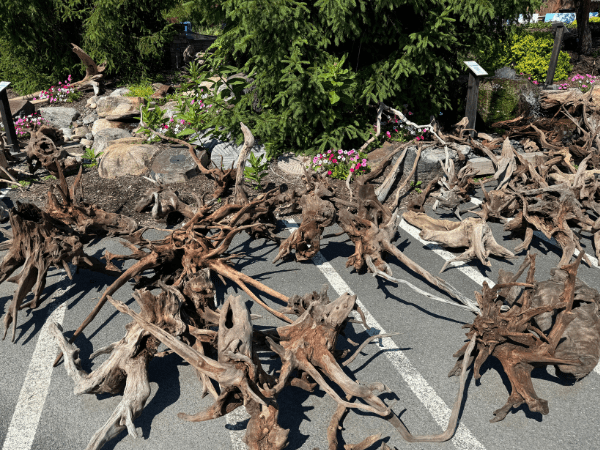 Driftwood