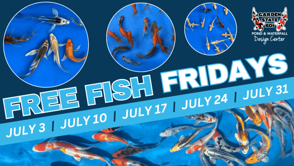 Free Fish Fridays + Bonus Free Fish Saturday