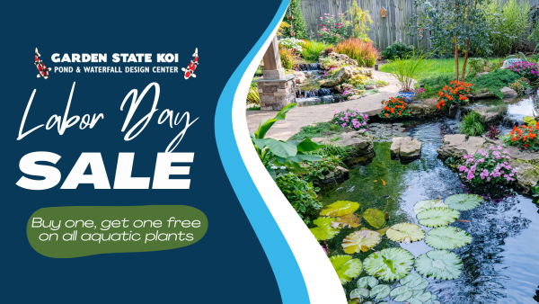 Labor Day Sale