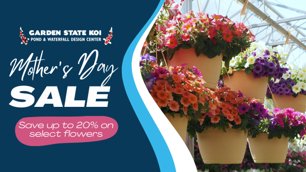 Mother's Day Sale
