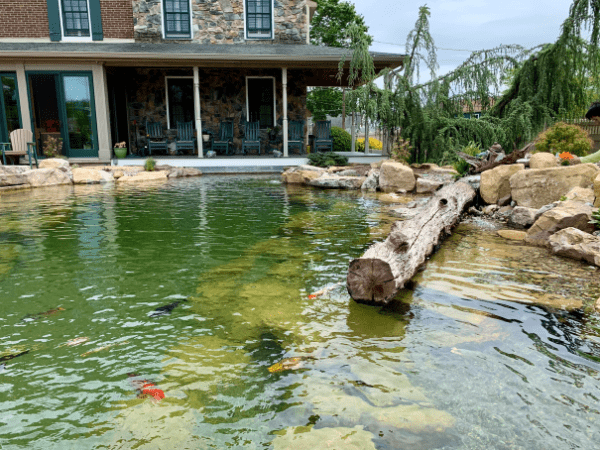 Recreational pond project 11