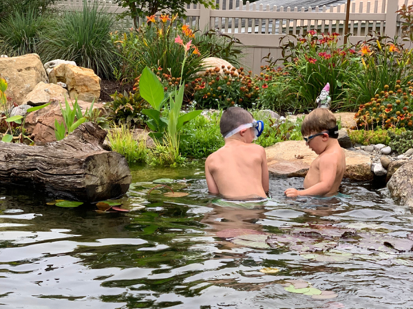 Recreational pond project 12