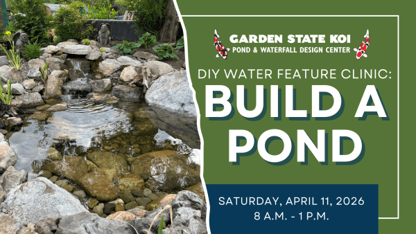 DIY Water Feature Clinic: Build a Pond