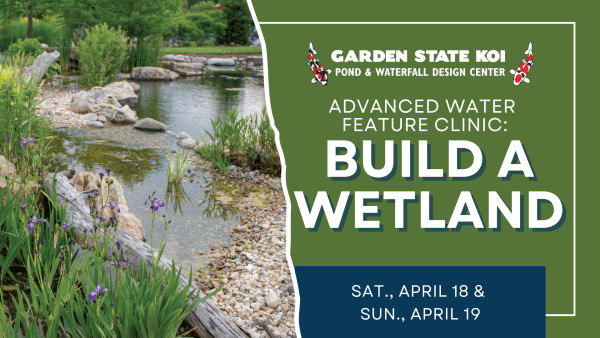 Advanced Water Feature Clinic: Build a Wetland