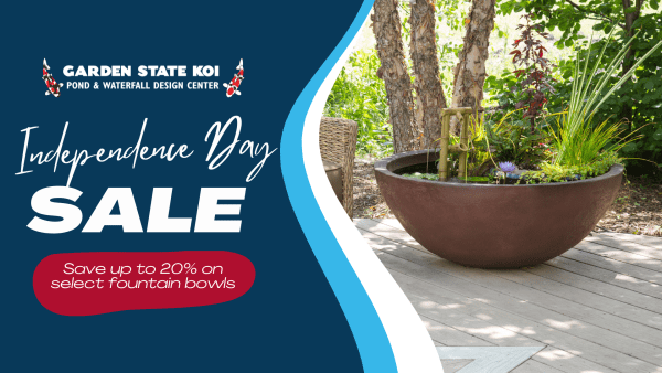 Independence Day Sale