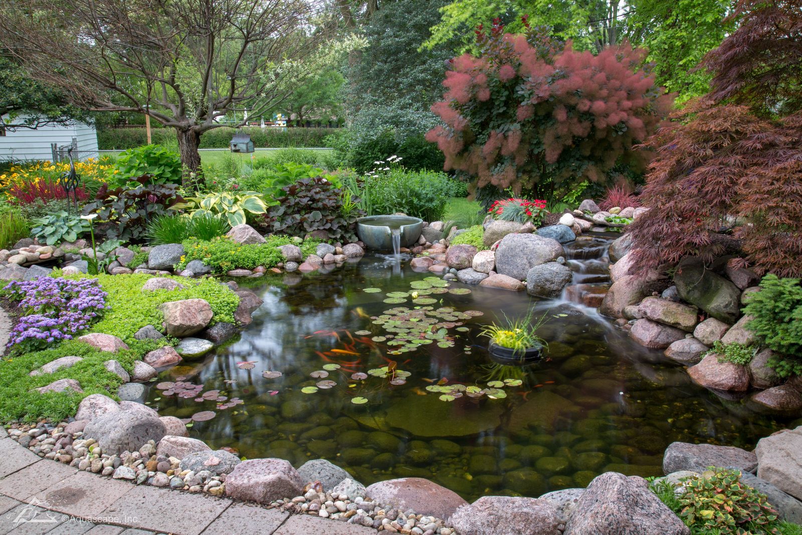 Sustainable ecosystem pond planted with natives and filtered without chemicals