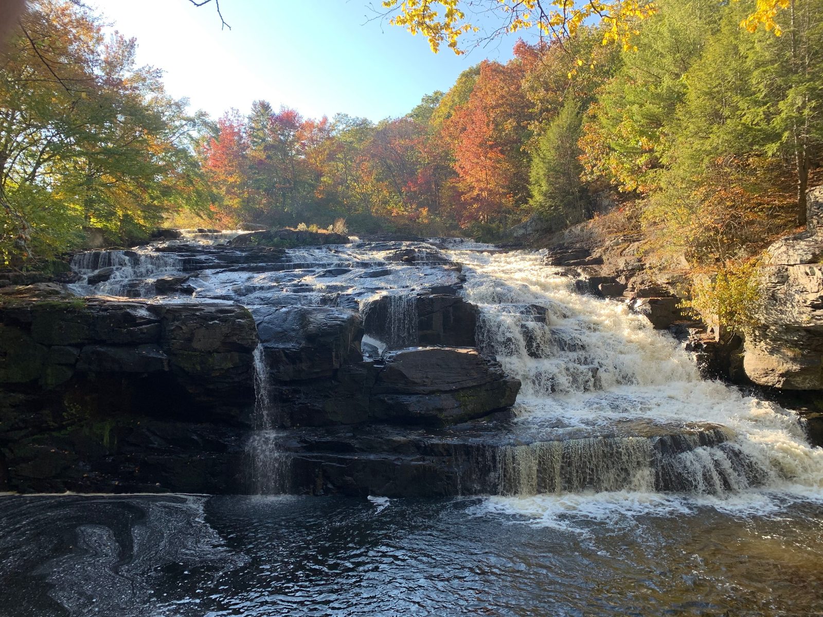 Fall foliage above a stone waterfall on a Garden State Koi pond