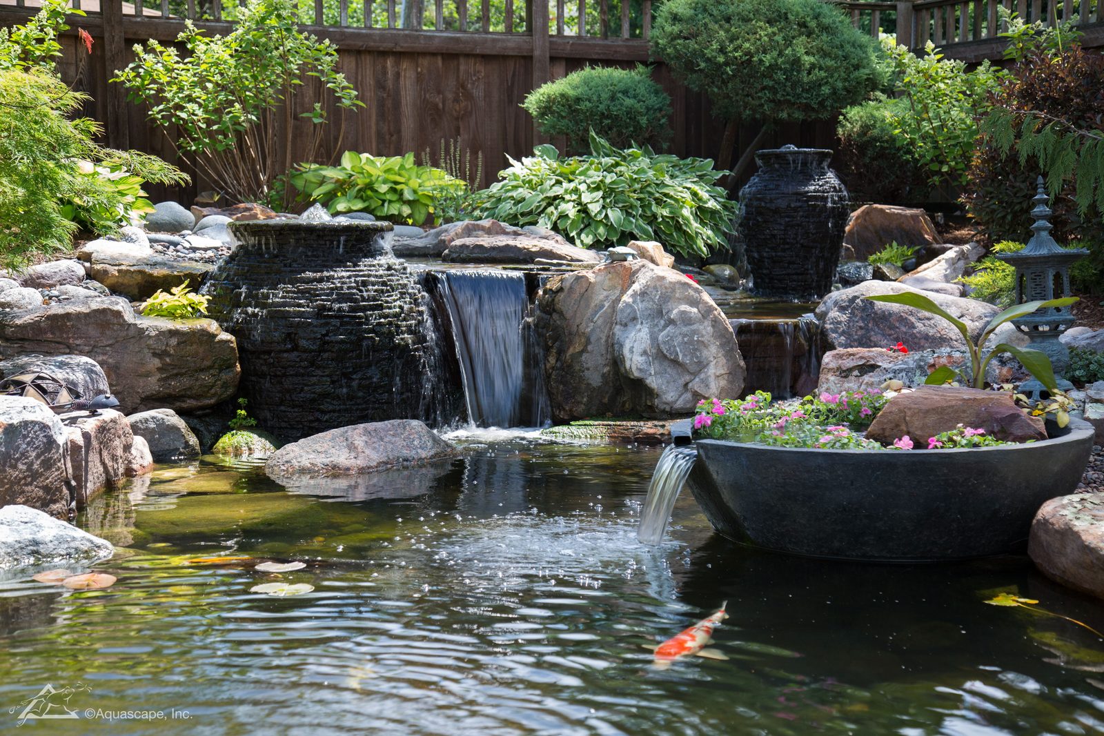 Balanced ecosystem fish pond with koi, lilies and a rock waterfall