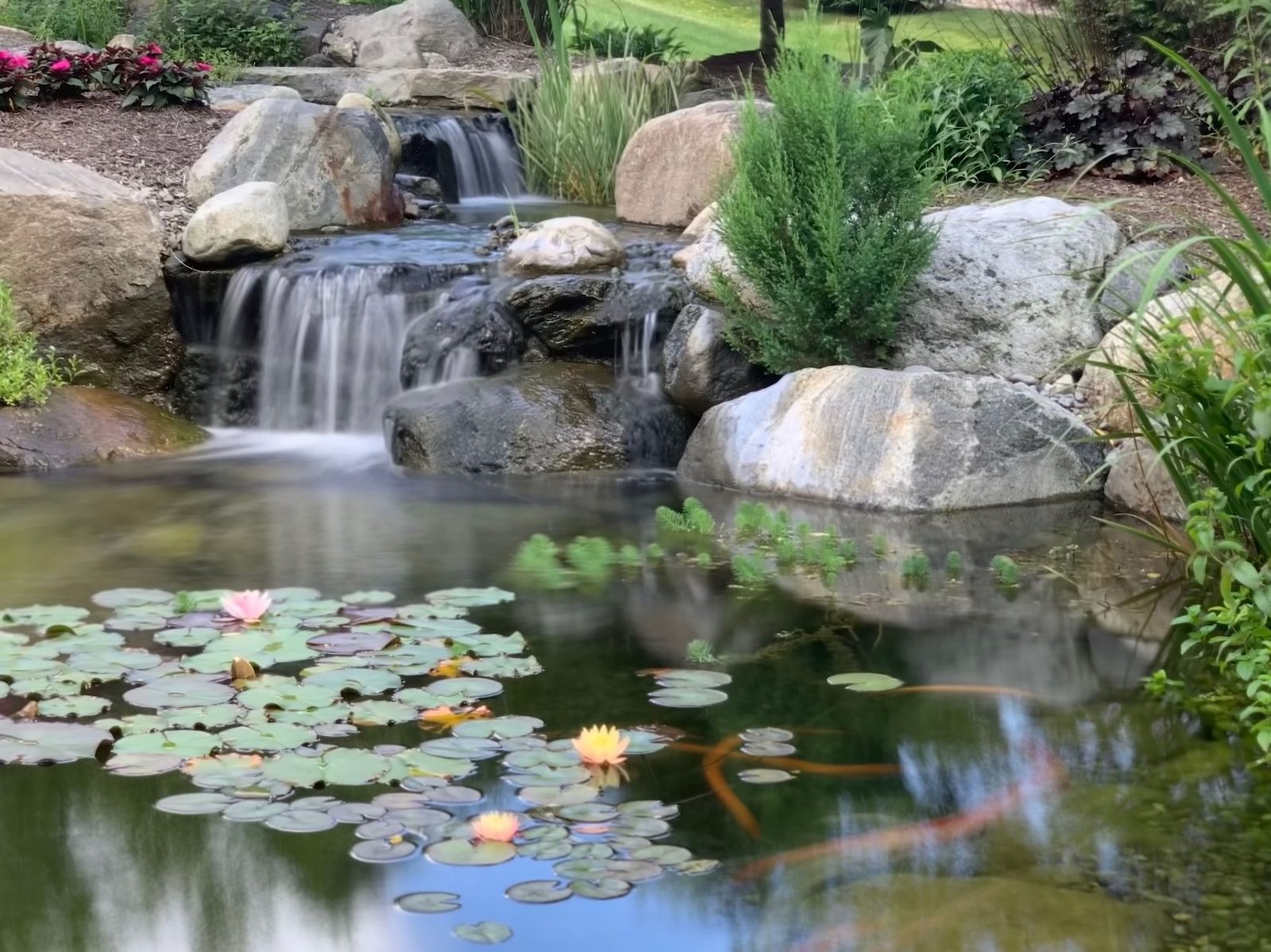 Koi pond in midsummer where water level changes show evaporation or a leak