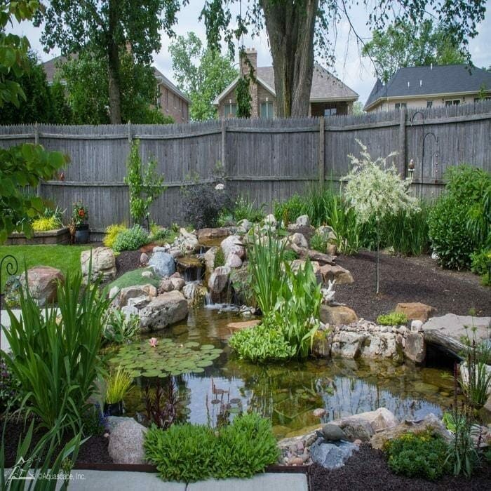 A first backyard pond built at 11 by 16 feet with a rock edge and waterfall