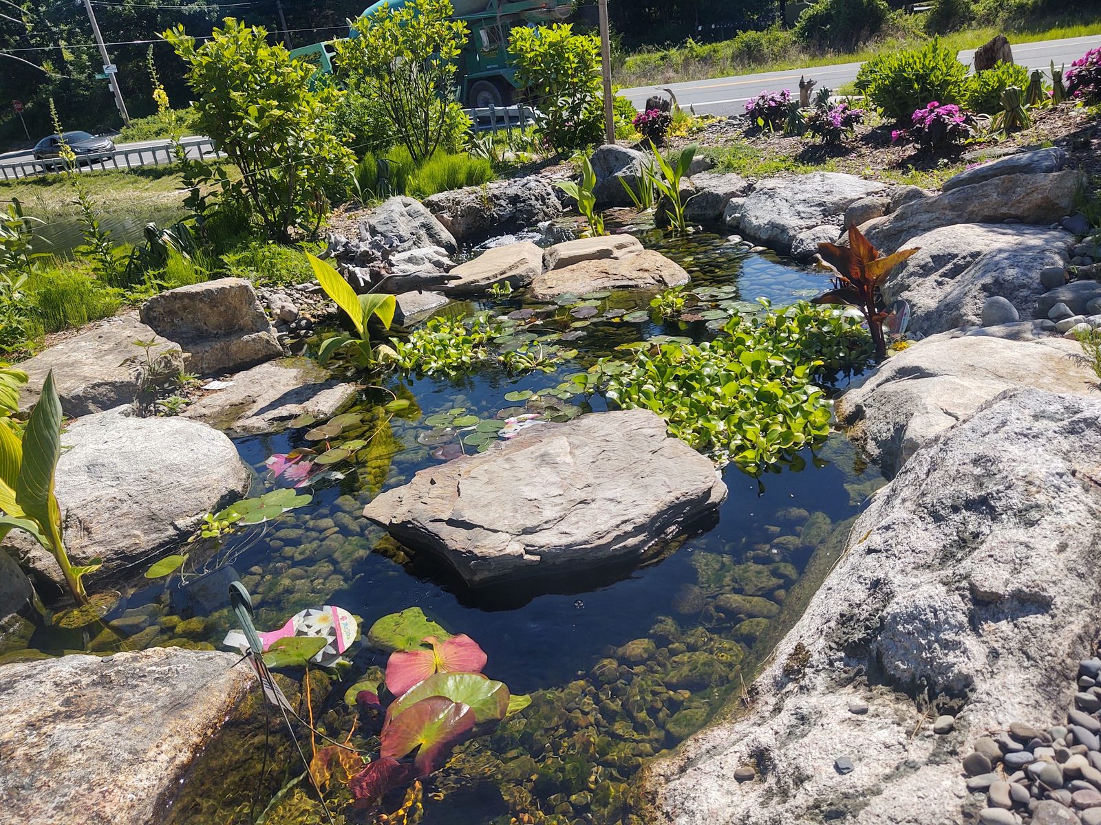 Skimmer cove built into a pond edge to collect leaves and debris