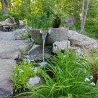 Kate-Blitz-Pond-1