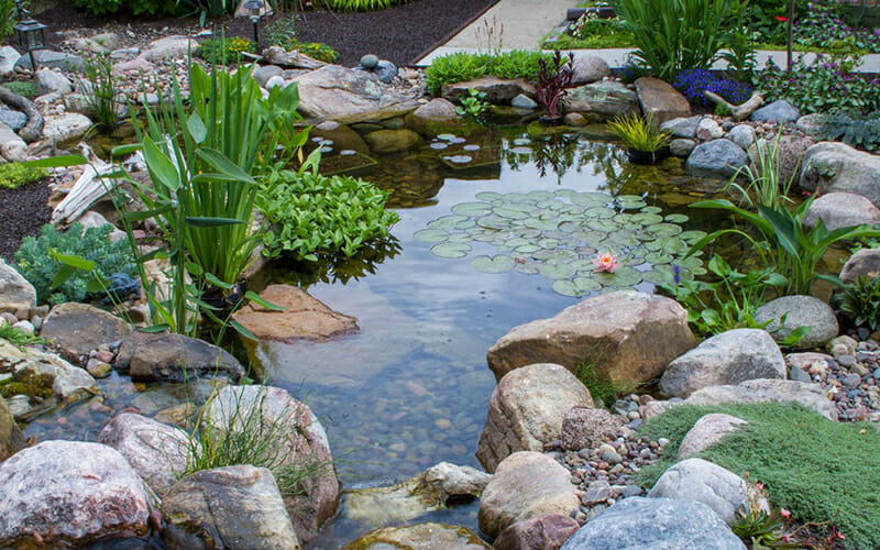 15'X18' POND: GOLD PACKAGE-image