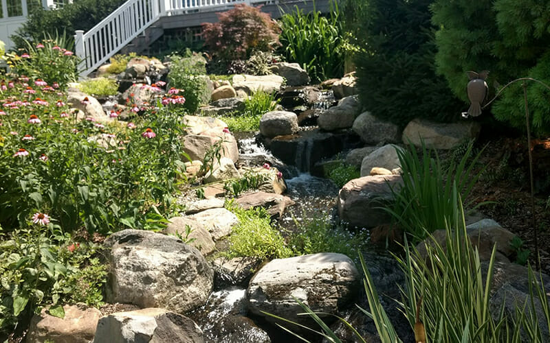 EXTRA LARGE PONDLESS: SILVER PACKAGE-image