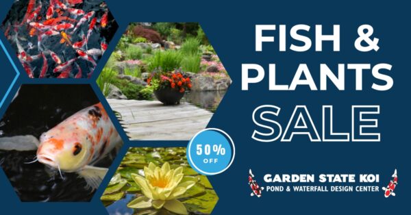 gsk fish plants sale 2023 fb