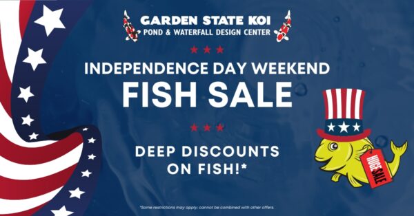 independence day sale fb