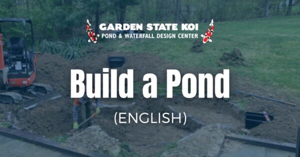 build a pond english fb
