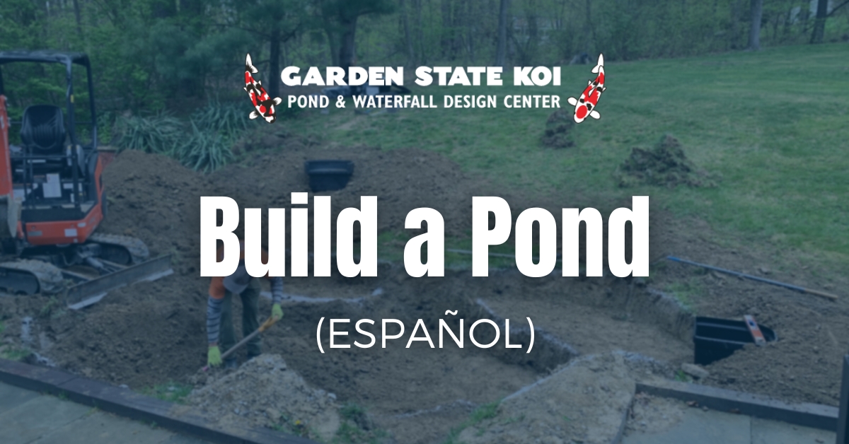 build a pond spanish fb