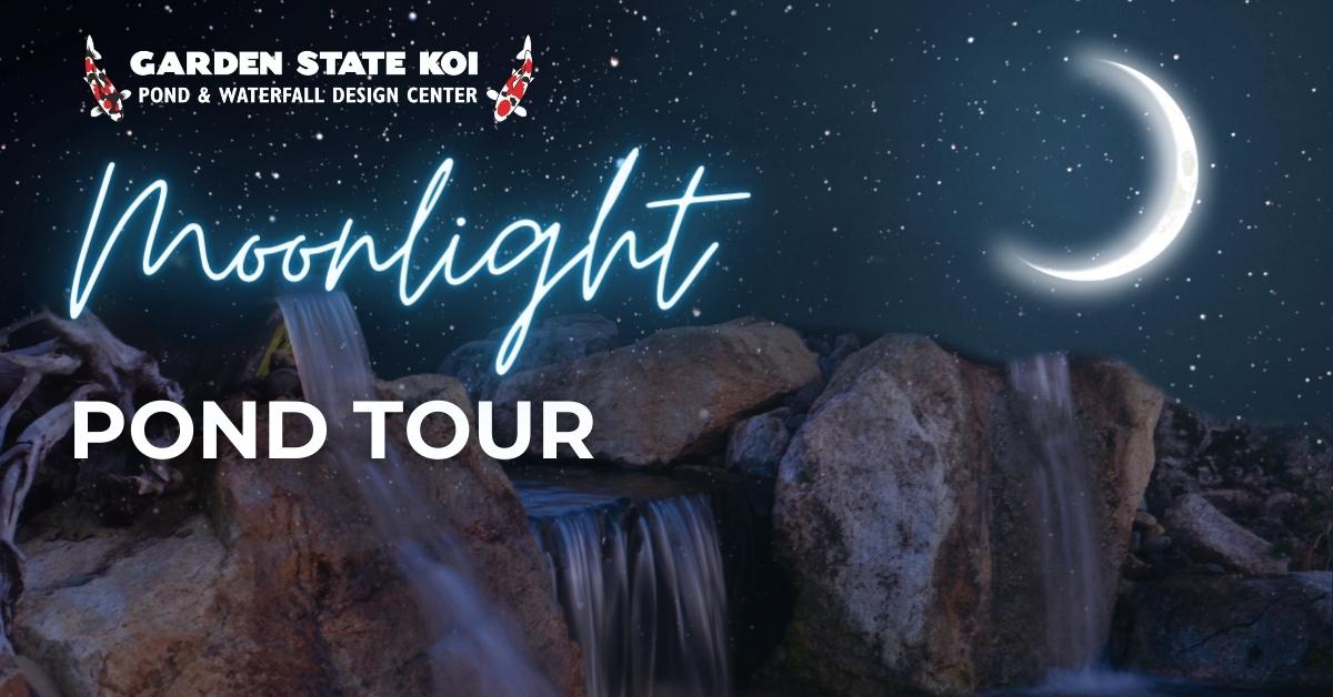 moonlight tour 2023